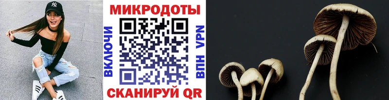 Псилоцибиновые грибы прущие грибы  Купить где  Гаврилов-Ям 